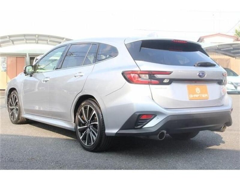 LEVORG