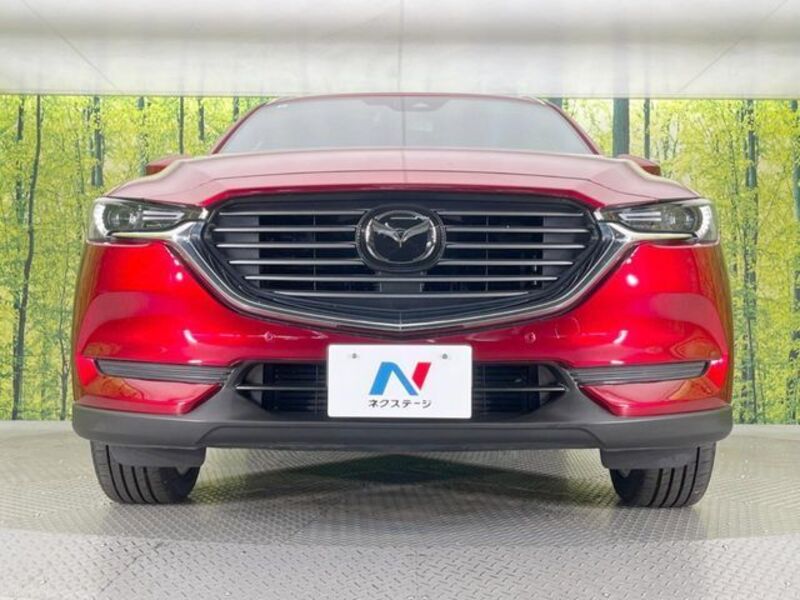 CX-8