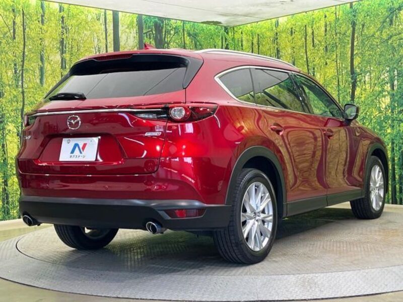 CX-8