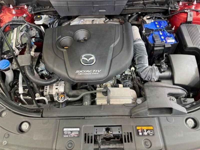 CX-8