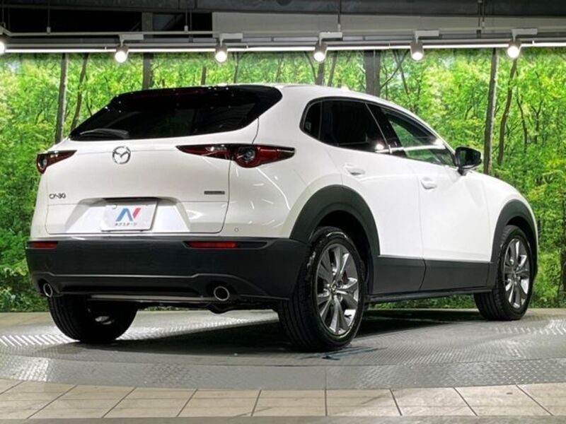 CX-30