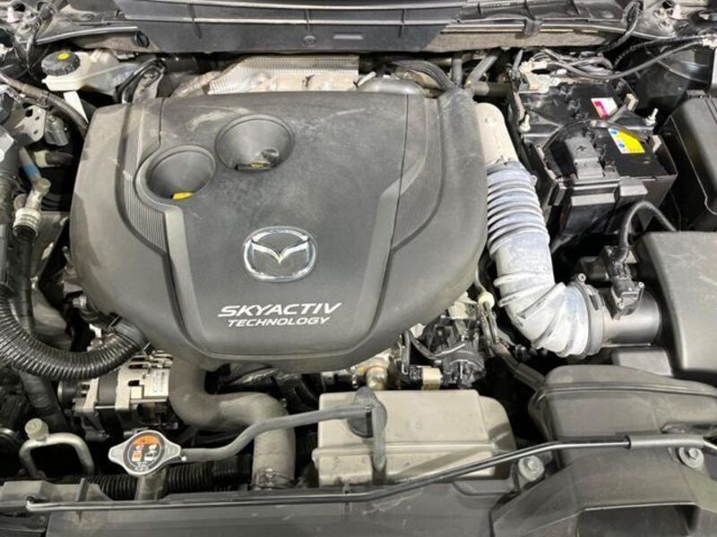CX-8