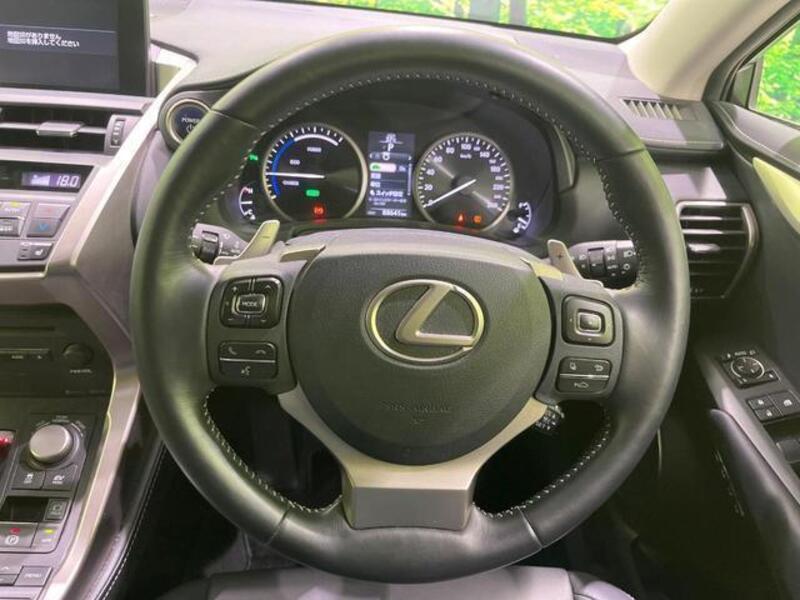 NX