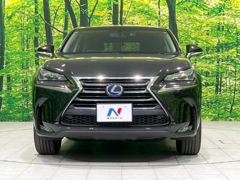 NX
