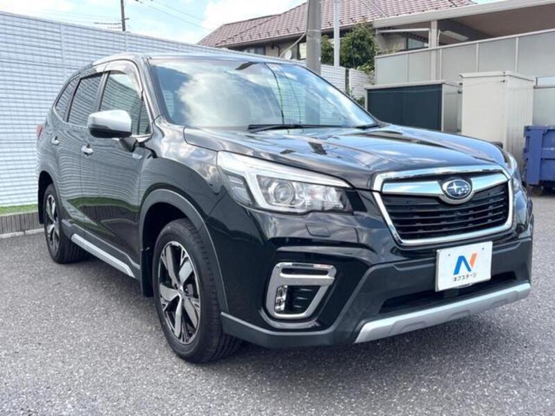 FORESTER