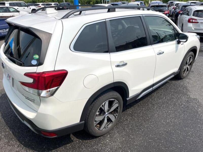 FORESTER