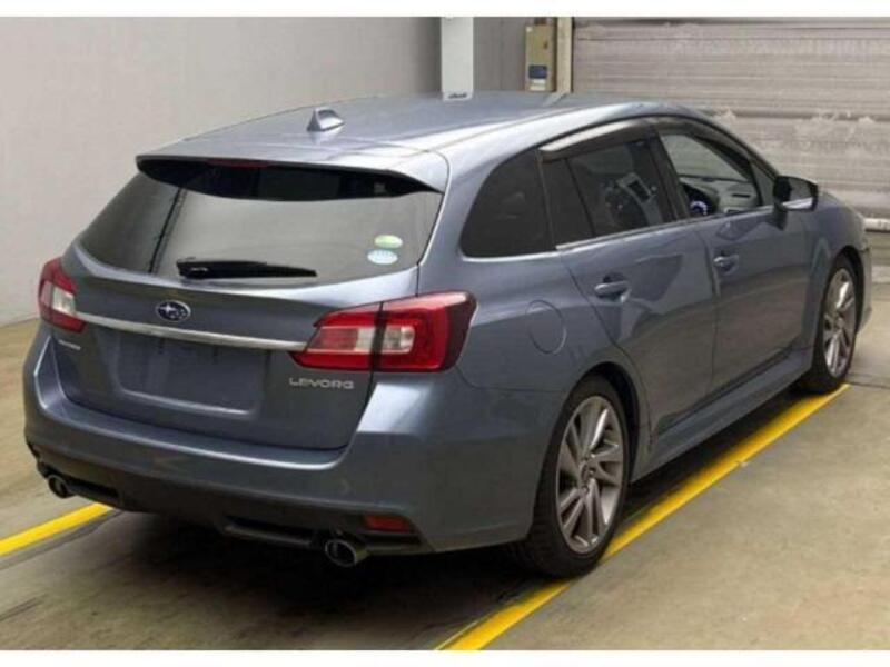 LEVORG