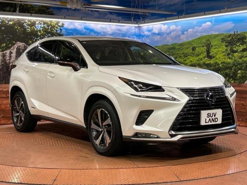 NX