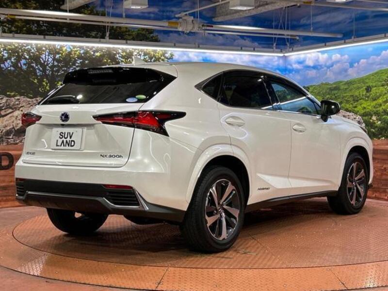 NX