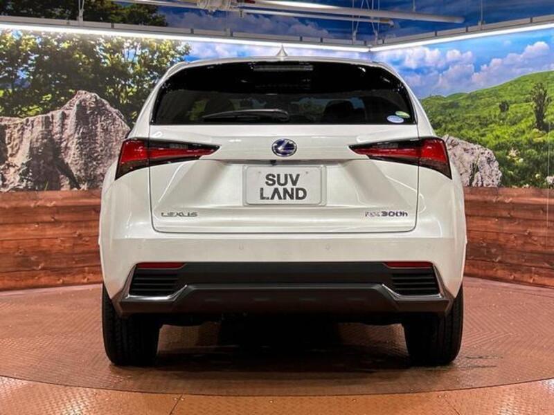 NX