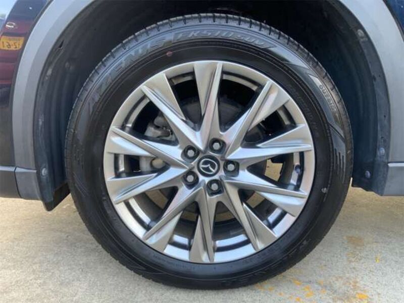 CX-8
