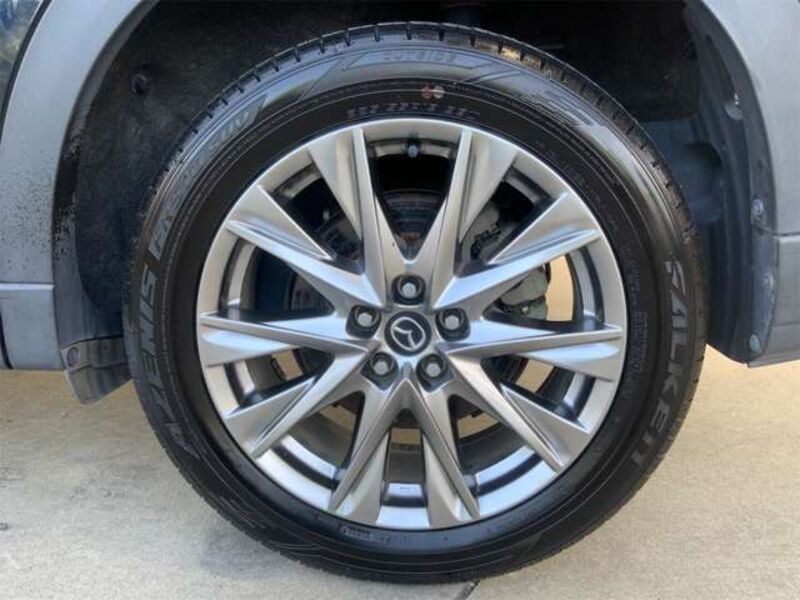 CX-8