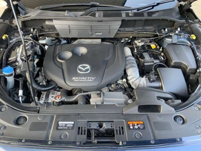 CX-8