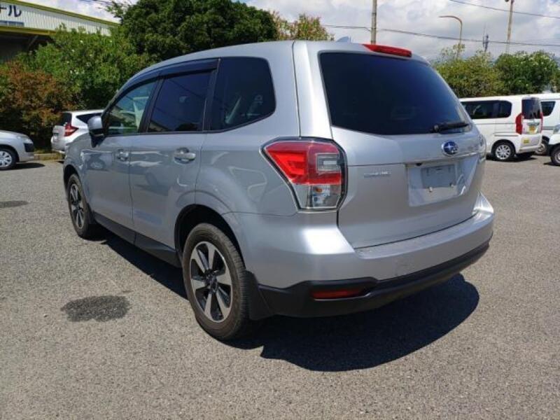 FORESTER