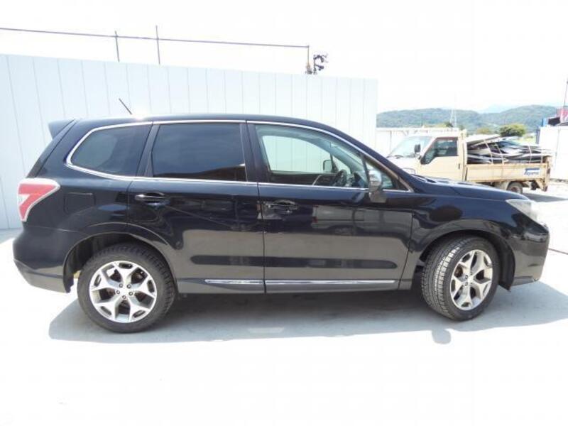 FORESTER