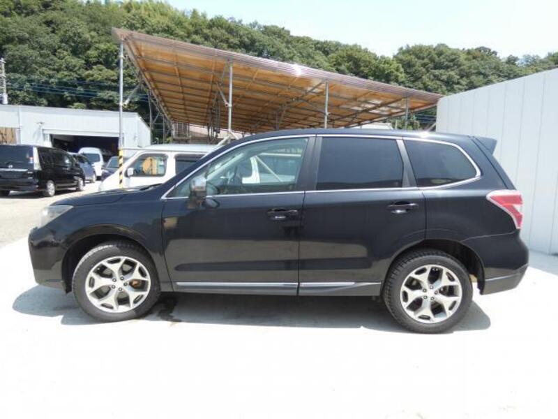 FORESTER