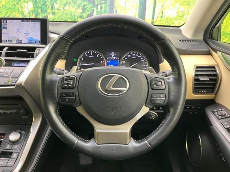 NX