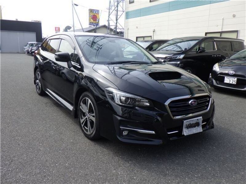 LEVORG
