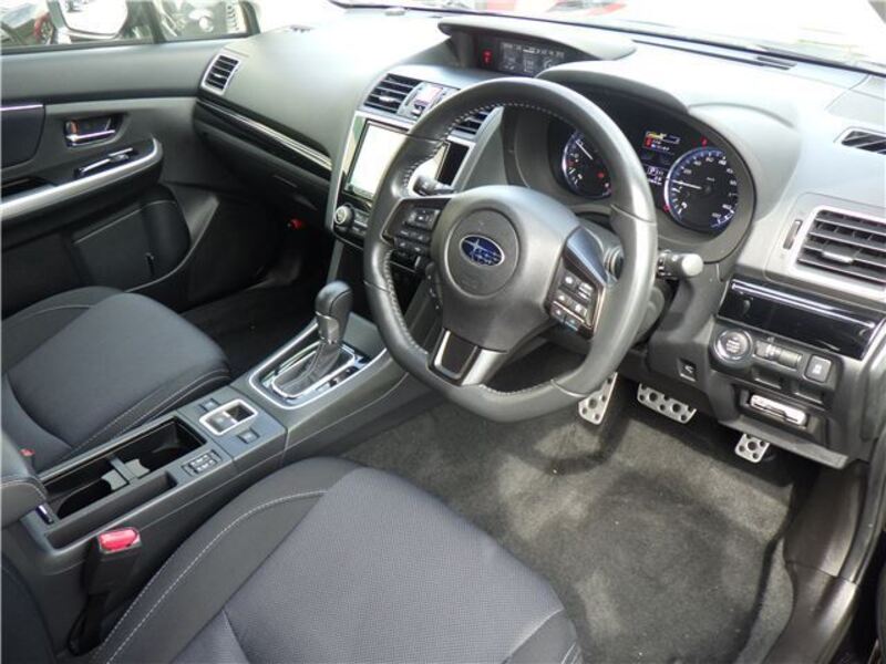 LEVORG