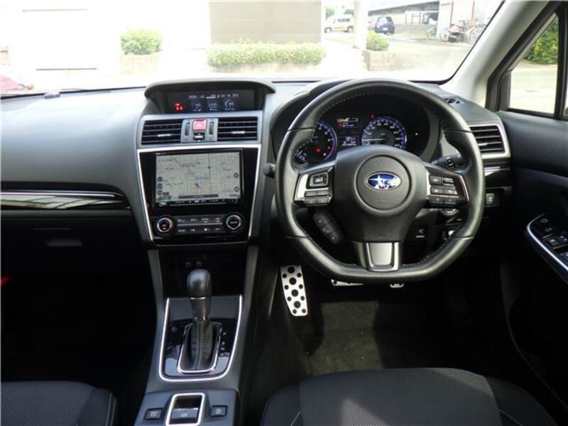 LEVORG