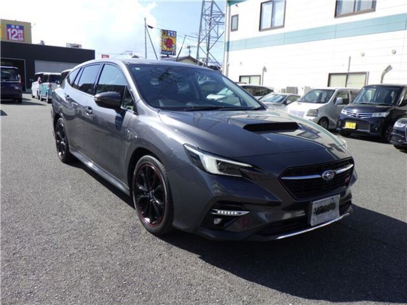 LEVORG