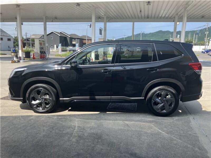 FORESTER