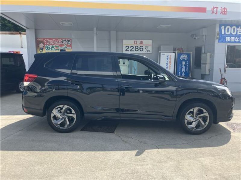 FORESTER