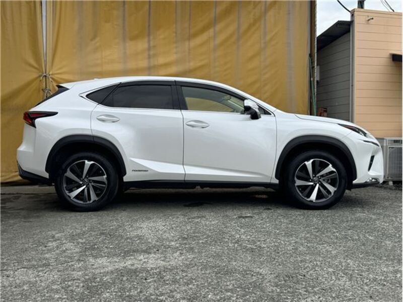 NX