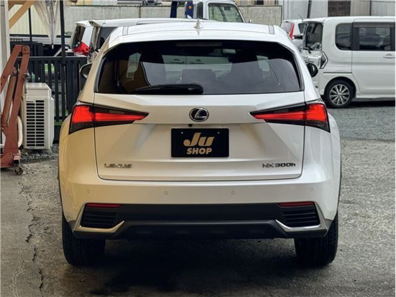 NX