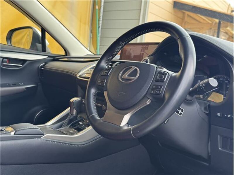 NX