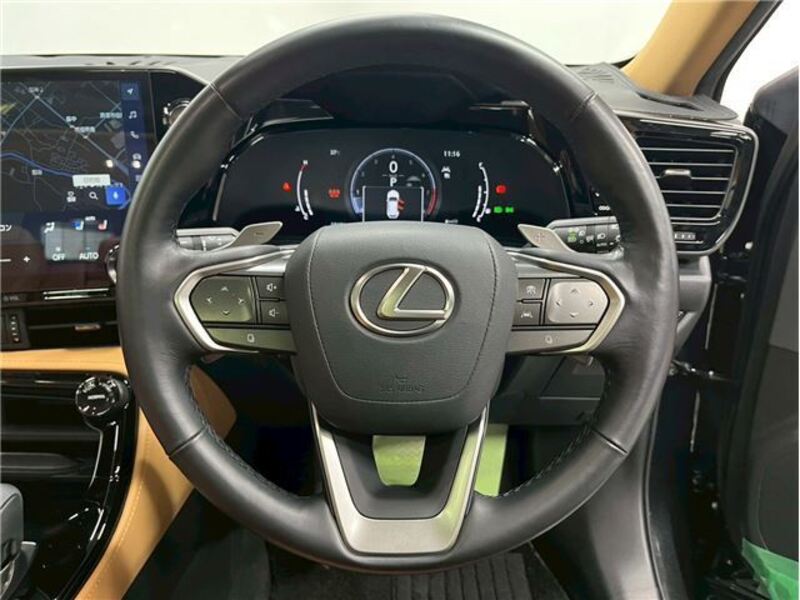 NX