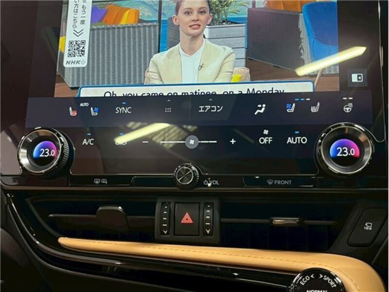 NX