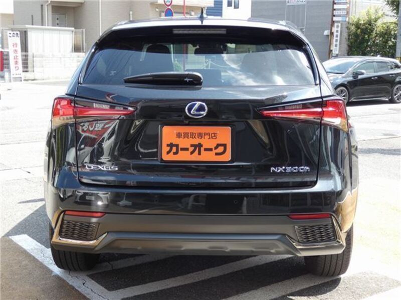 NX