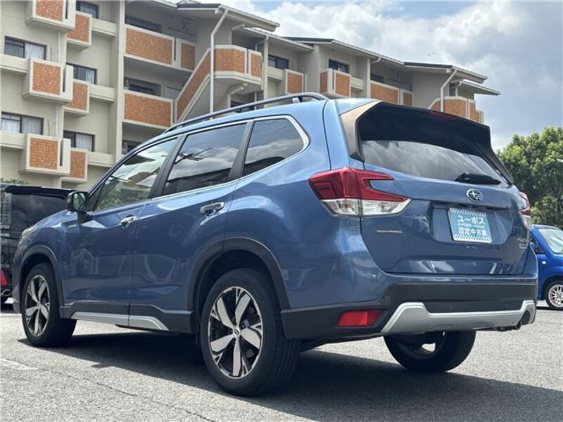 FORESTER