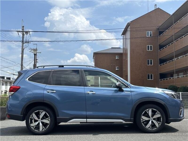 FORESTER