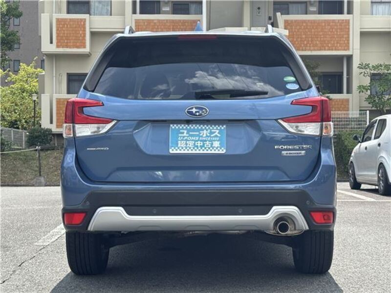 FORESTER