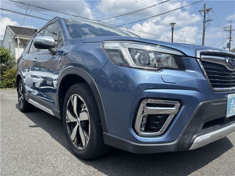FORESTER