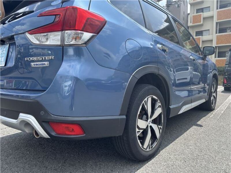FORESTER