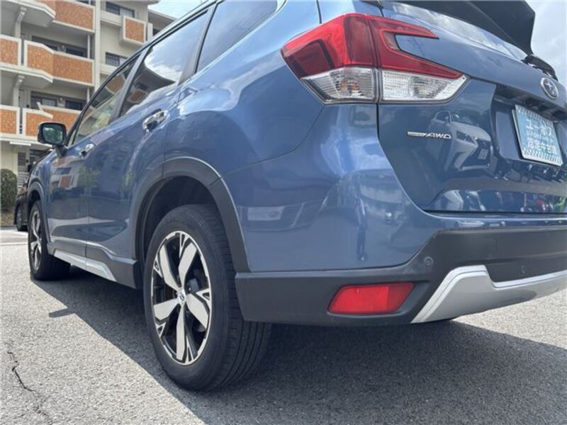 FORESTER