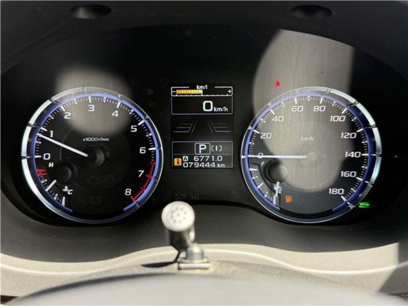 LEVORG