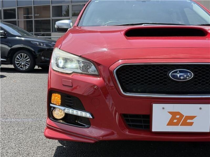 LEVORG