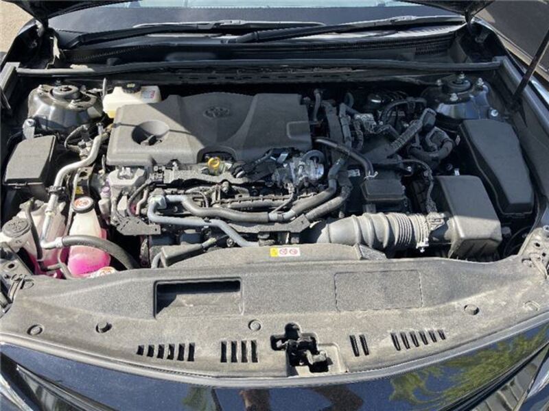 CAMRY