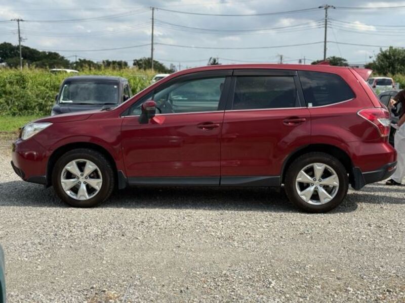 FORESTER