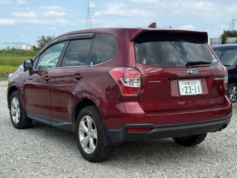 FORESTER