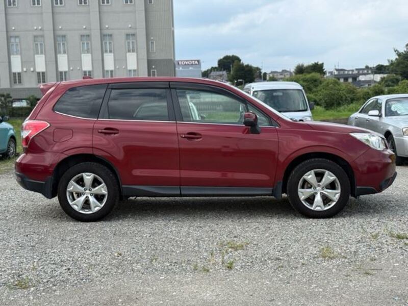 FORESTER