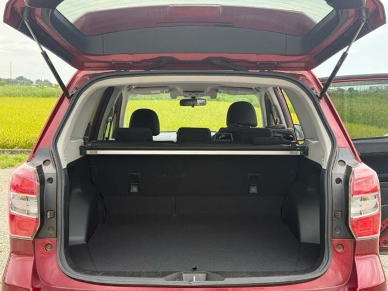 FORESTER