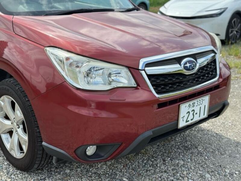 FORESTER