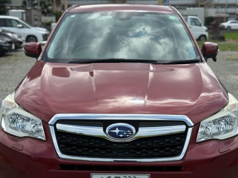 FORESTER