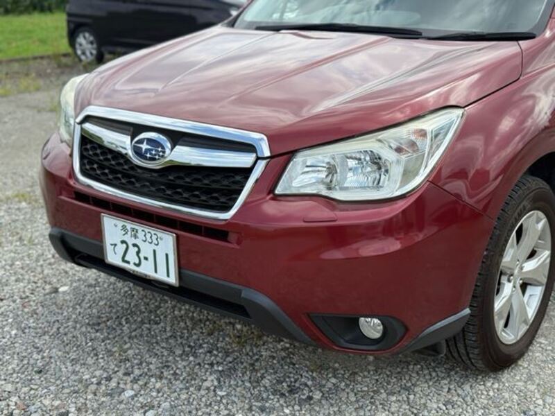 FORESTER