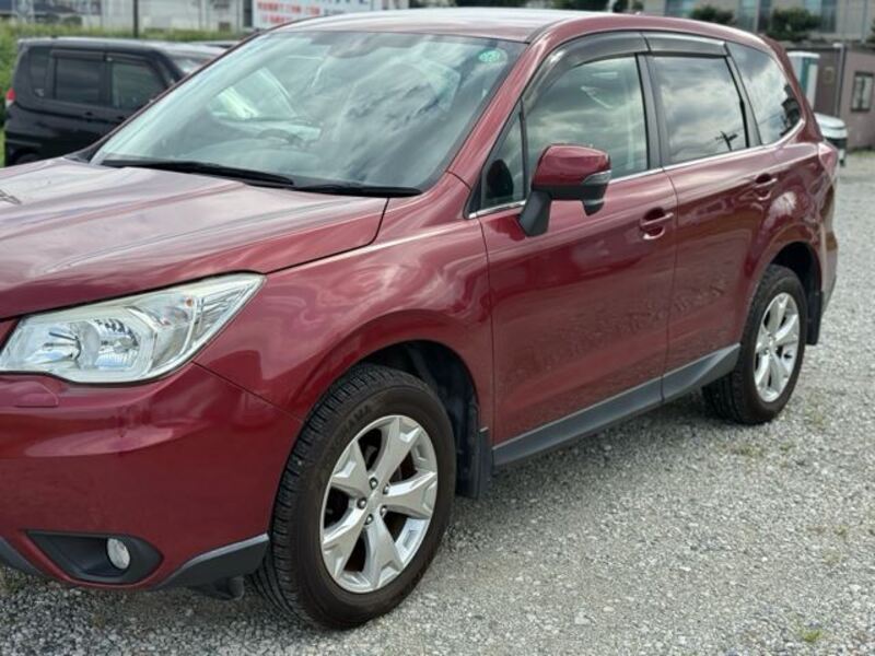 FORESTER